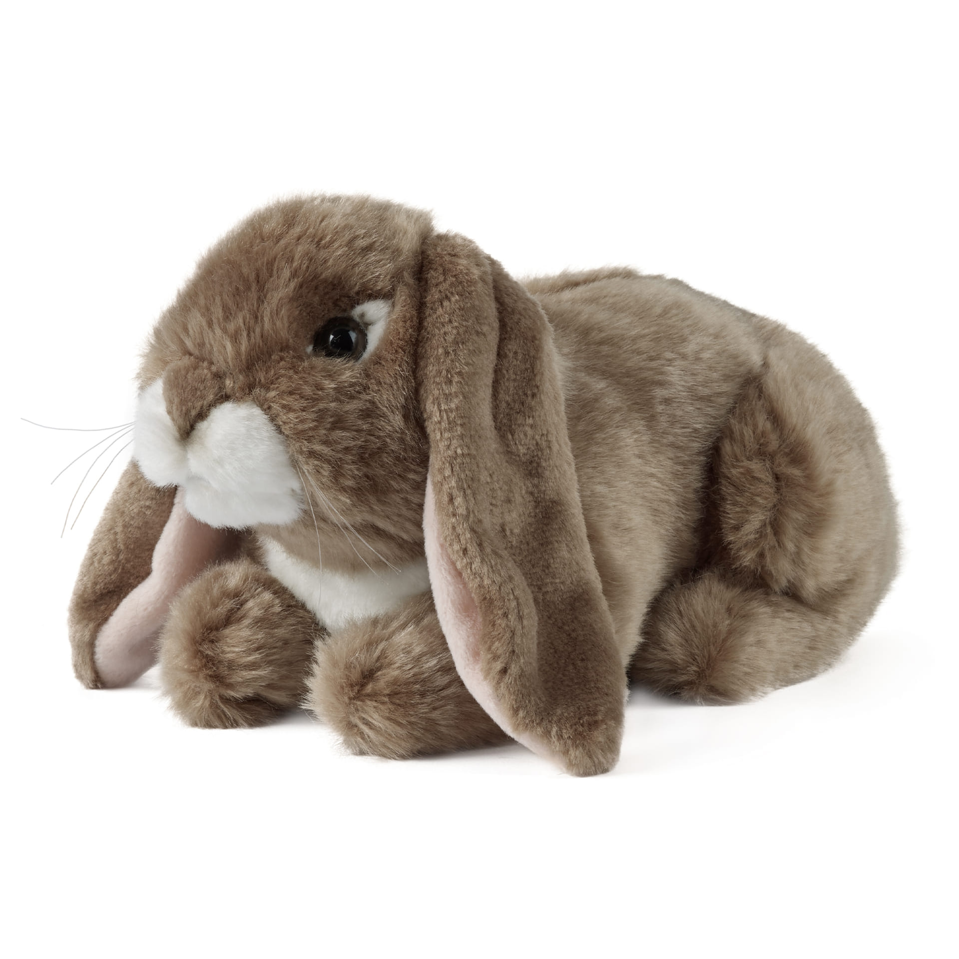 LIVING NATURE Brown Lop Eared Rabbit