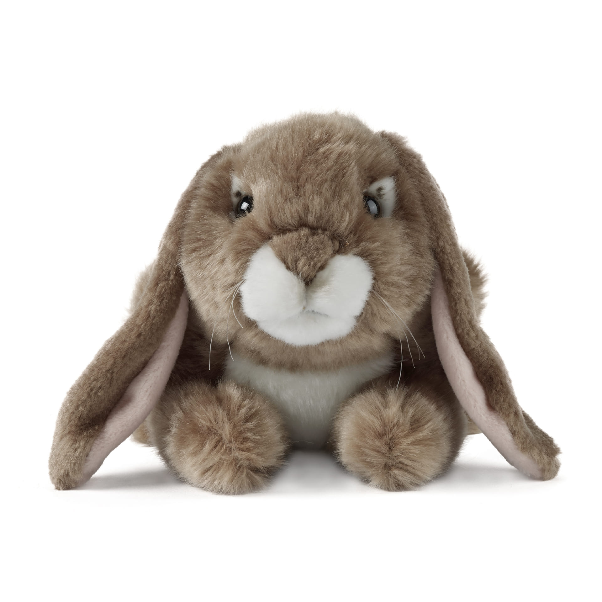 LIVING NATURE Brown Lop Eared Rabbit