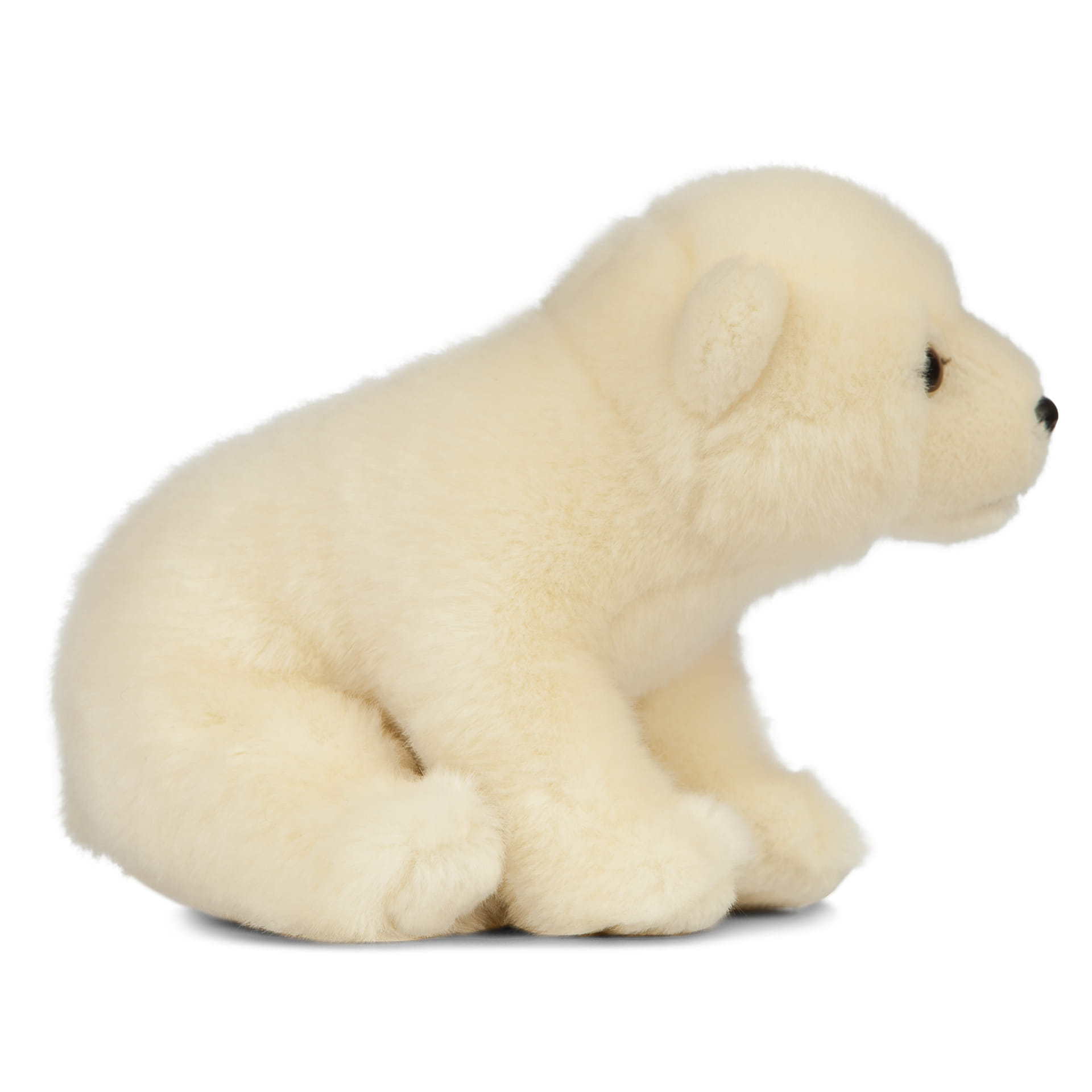 LIVING NATURE Polar Bear Cub Sitting