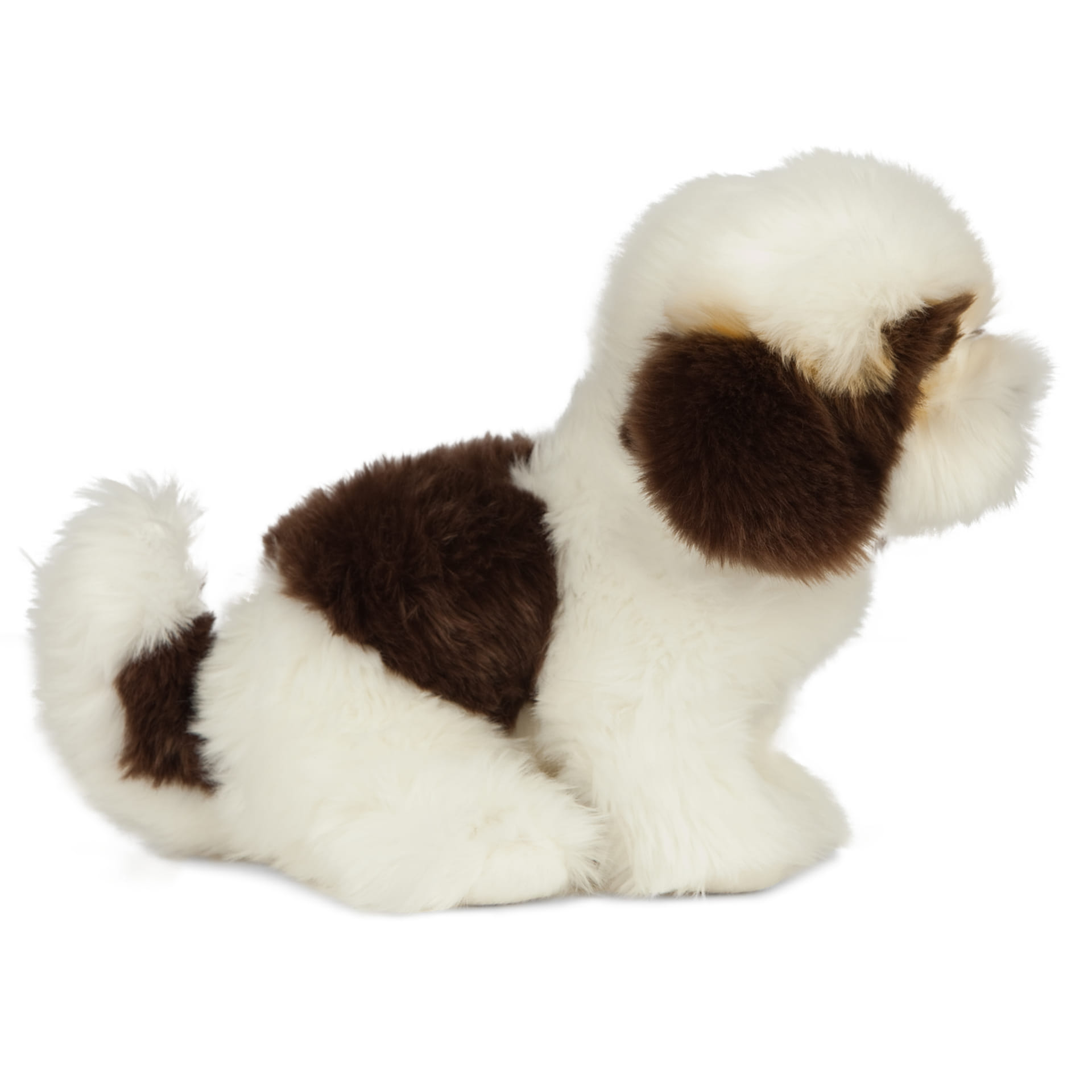 Shih tzu clearance nature