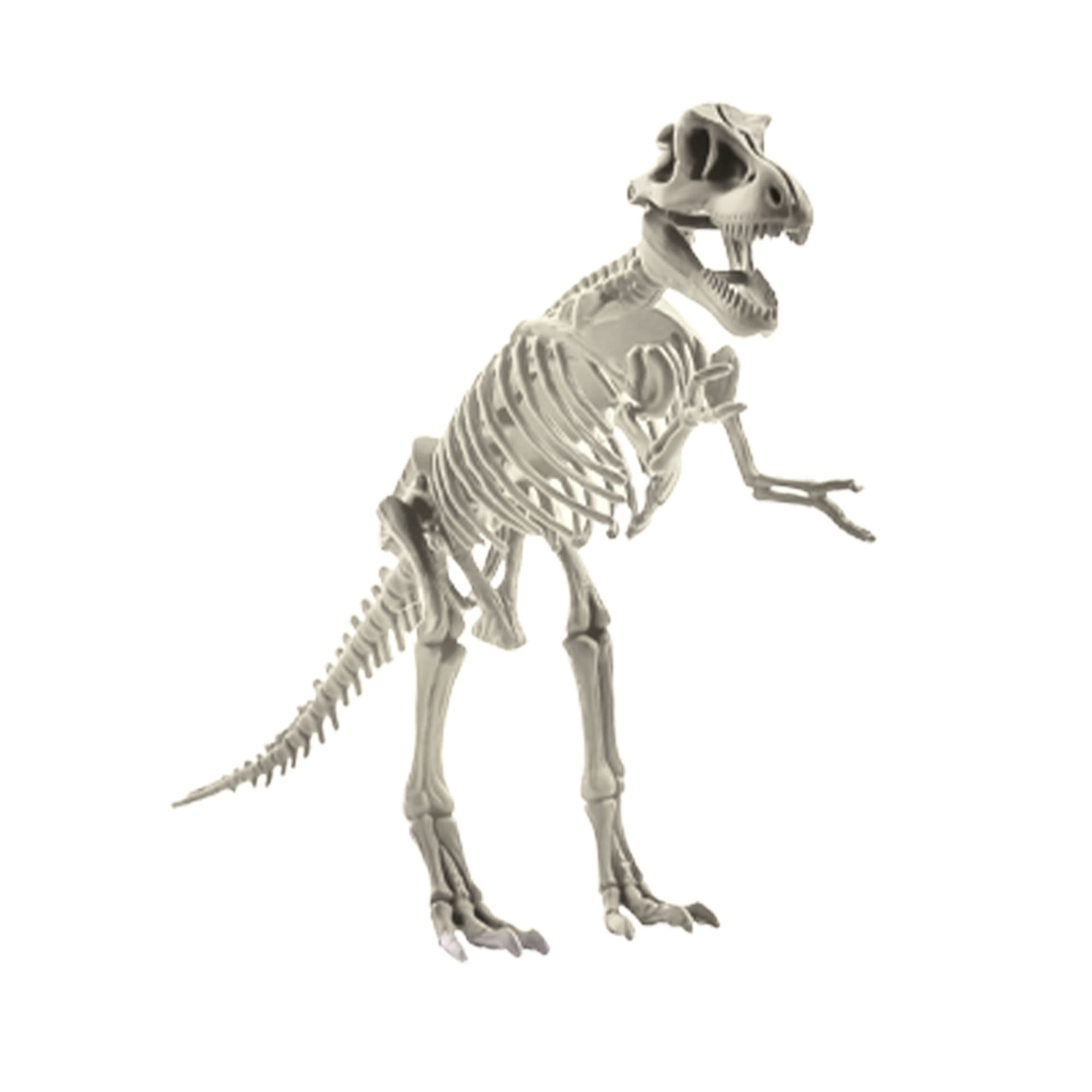 MAGNOIDZ 3D Dinosaur Skeletons